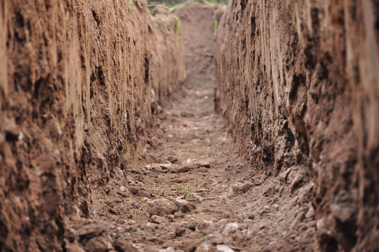 Clay Soil